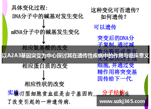 以A2A3基因突变为中心探讨其在遗传性疾病中的作用与临床意义